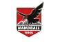 Sparkasse Schwaz Handball Tirol