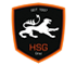 HSG Holding Graz